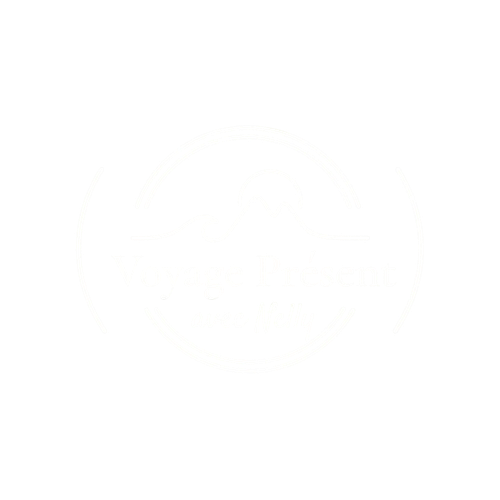 Logo Voyage Présent